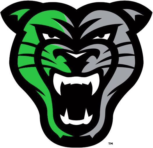 Derby Panthers logo